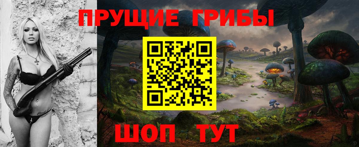 Щёлково  Галлюциногенные грибы Cubensis  Вход с VPN 